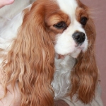 image00002