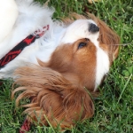 image00004