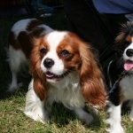 image00008